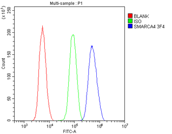 BRG1 SMARCA4 Antibody (monoclonal, 3F4)