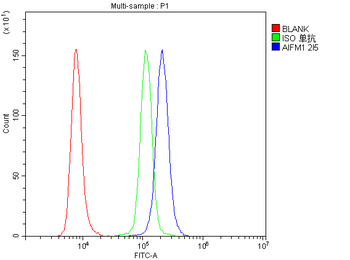 AIF/AIFM1 Mouse Monoclonal Antibody