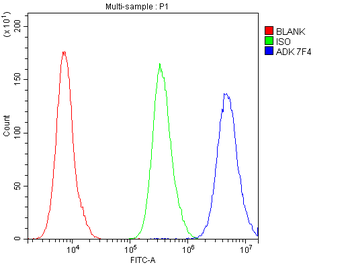 ADK Mouse Monoclonal Antibody