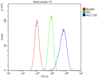 ATP citrate lyase ACLY Antibody (monoclonal, 5I2)