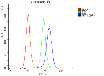 PPT1 Mouse Monoclonal Antibody