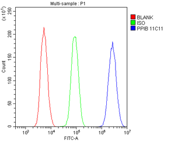 Cyclophilin B PPIB Mouse Monoclonal Antibody