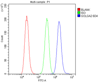 GM130 GOLGA2 Mouse Monoclonal Antibody