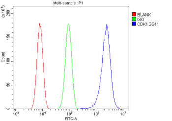 CDK1 Mouse Monoclonal Antibody