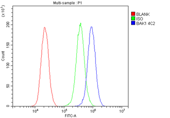 BAK/BAK1 Antibody (monoclonal, 4C2)