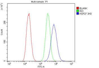 Hsp27/HSPB1 Antibody (monoclonal, 3H3)