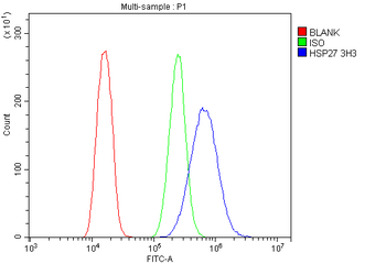 Hsp27/HSPB1 Antibody (monoclonal, 3H3)
