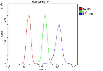 IRS1 Mouse Monoclonal Antibody