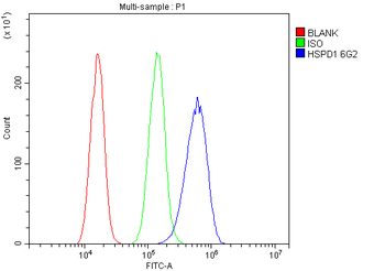 Hsp60/HSPD1 Antibody (monoclonal, 6G2)