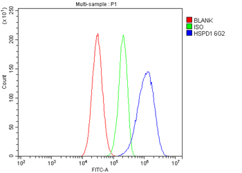 Hsp60/HSPD1 Antibody (monoclonal, 6G2)