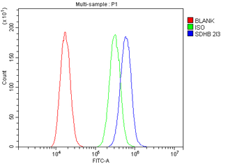 SDHB Mouse Monoclonal Antibody