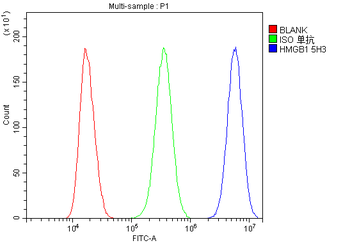 HMGB1 Antibody (monoclonal, 5H3)