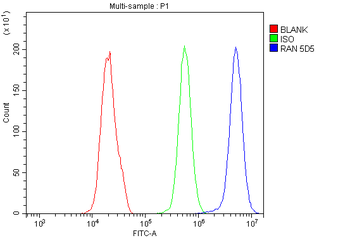 Ran Mouse Monoclonal Antibody
