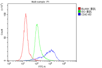 CD43/SPN Mouse Monoclonal Antibody