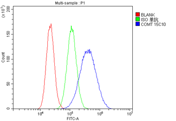 COMT Mouse Monoclonal Antibody