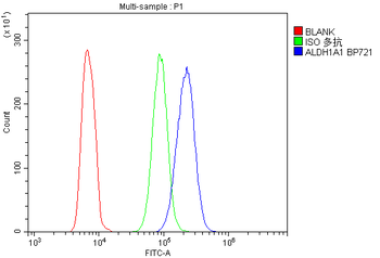 Retinal dehydrogenase 1 ALDH1A1 Rabbit Polyclonal Antibody