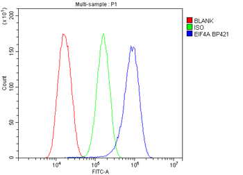 EIF4A1/2/3 Antibody