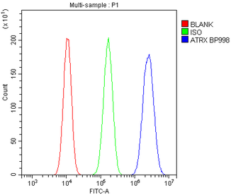 ATRX Antibody