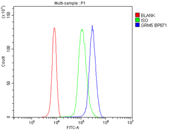 Metabotropic Glutamate Receptor 5/GRM5 Rabbit Polyclonal Antibody
