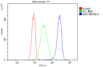 MVP Antibody (monoclonal, 8B12)