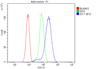 TJP1 Antibody (monoclonal, 3E12)