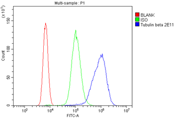 Beta Tubulin TUBB Mouse Monoclonal Antibody