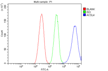FACL4/ACSL4 Antibody