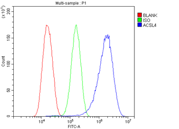 FACL4/ACSL4 Antibody