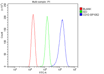 CD1D Antibody