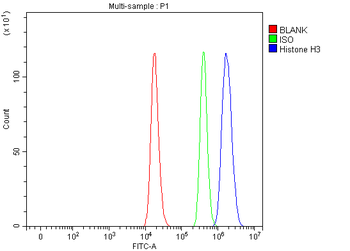 Histone H3 HIST1H3A/B/C/D/E/F/G/H/I/J Antibody