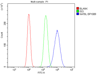 NAT8L Rabbit Polyclonal Antibody
