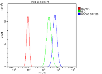 HEC1/HEC/NDC80 Rabbit Polyclonal Antibody