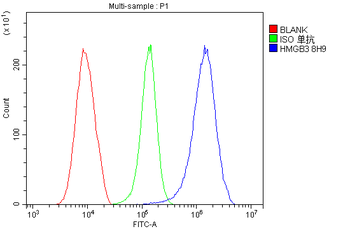 HMG4 Mouse Monoclonal Antibody