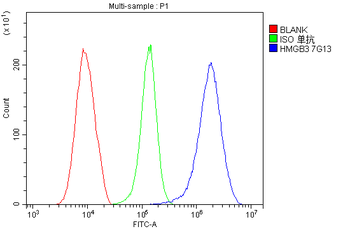 HMG4 Mouse Monoclonal Antibody