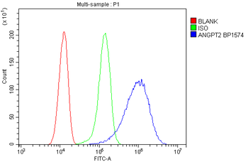 Angiopoietin-2/ANGPT2 Antibody