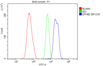 Eph receptor B2/EPHB2 Antibody