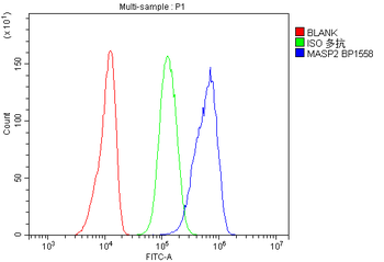 MASP2 Rabbit Polyclonal Antibody