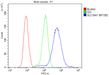 VMAT1/SLC18A1 Antibody