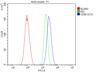 CD59 Antibody (monoclonal, 3C10)