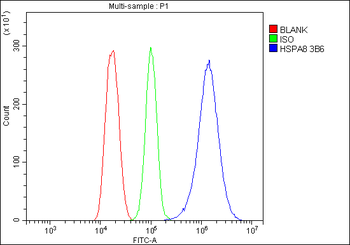 Hsc70 Antibody (monoclonal, 3B6)