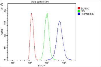 Hsc70 Antibody (monoclonal, 3B6)