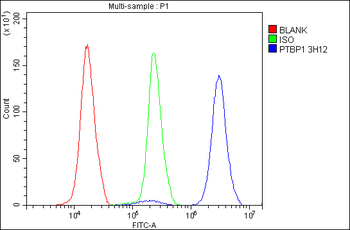 PTBP1 Mouse Monoclonal Antibody