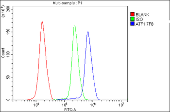 ATF1 Antibody (monoclonal, 7F8)