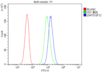 ZAP70 Mouse Monoclonal Antibody