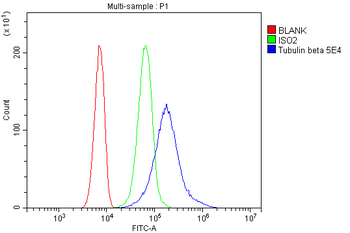 Beta Tubulin Mouse Monoclonal Antibody