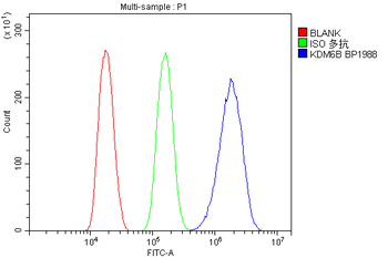 KDM6B/JMJD3 Rabbit Polyclonal Antibody