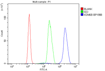KDM6B/JMJD3 Rabbit Polyclonal Antibody