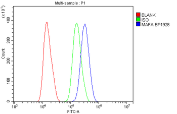 MAFA Rabbit Polyclonal Antibody