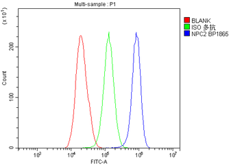 Niemann Pick C2/NPC2 Antibody
