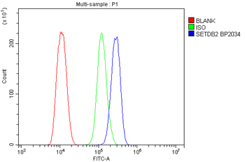 CLLD8/SETDB2 Antibody